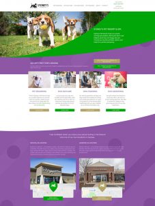 Web Design Work - Nehmedia - Pet Resort Marketing